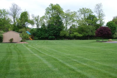 Lawn mowed correctly in Allentown, PA