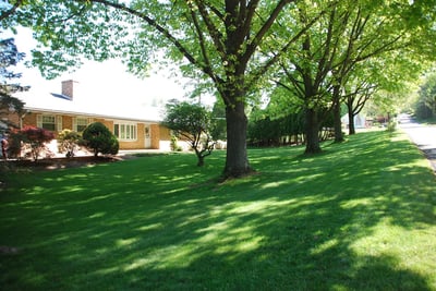 shaded lawn grass and trees