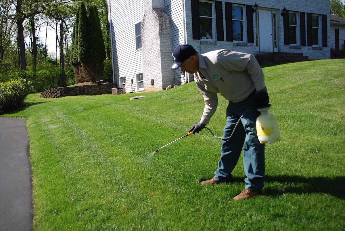 lawn care tech spot spraying for weed control