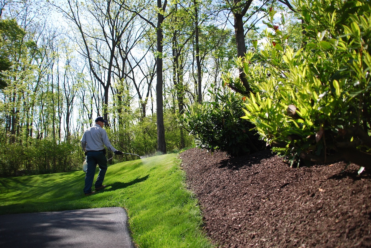 lawn care professional spot sprays for weeds in grass