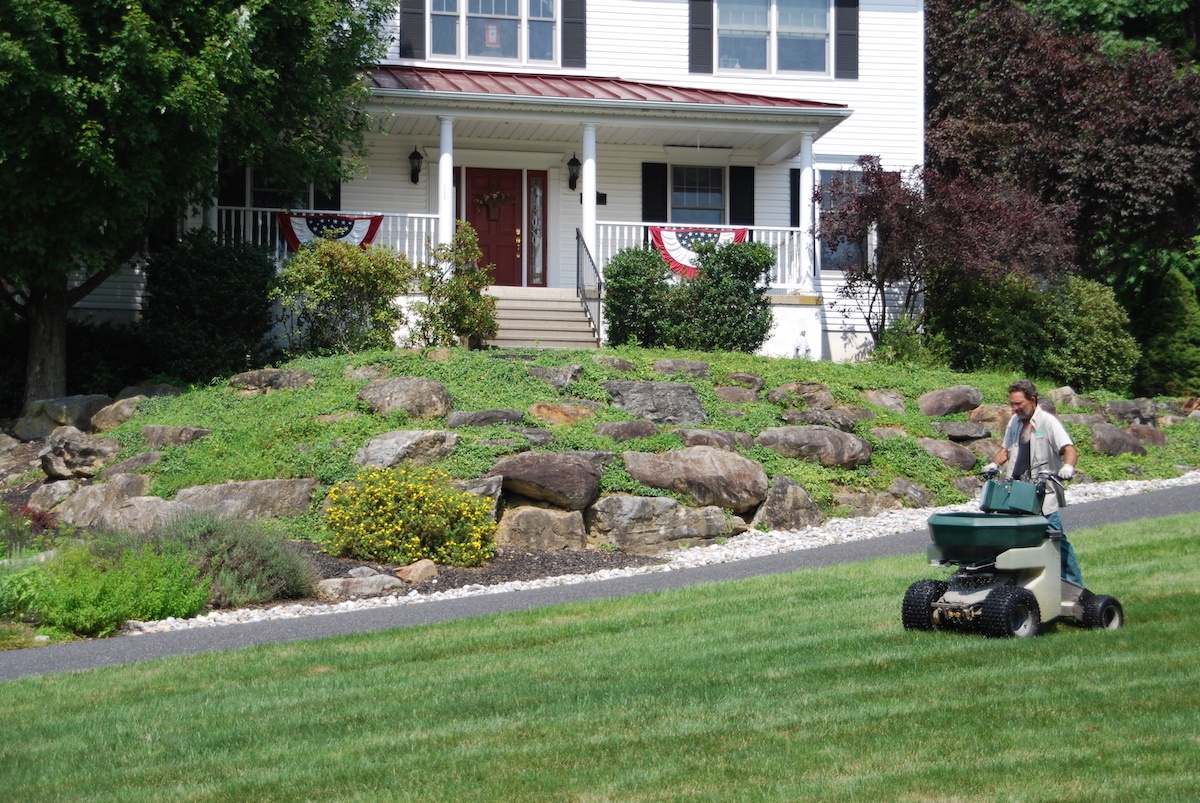 lawn care technician fertilizes lawn