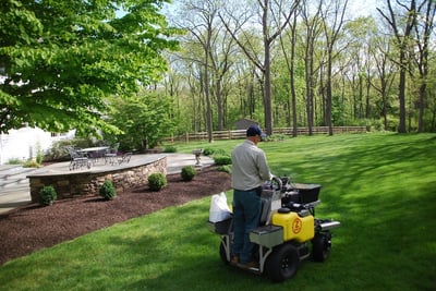 Lawn seeding services performed by Joshua Tree technician