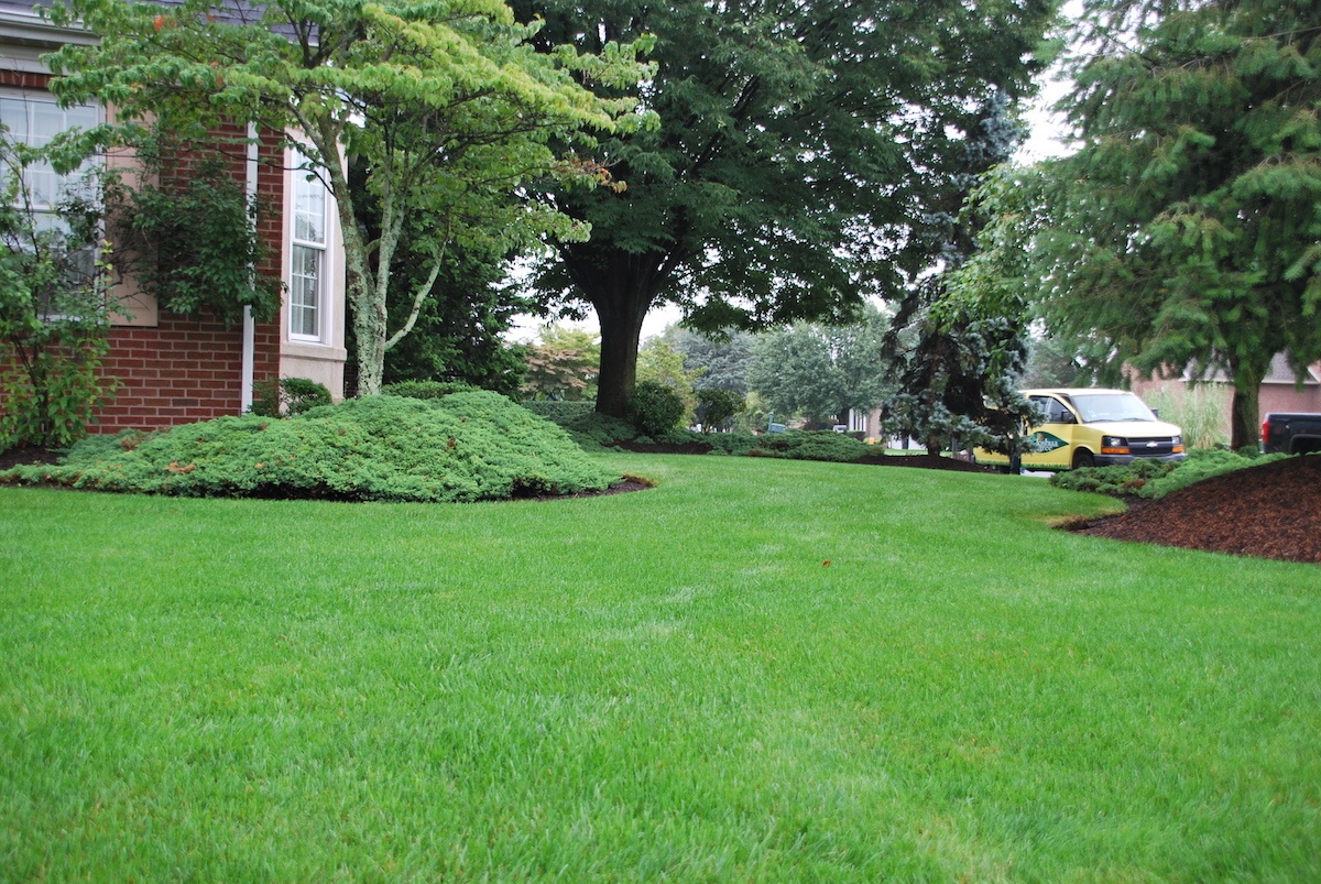 Healthy lawn with grub control