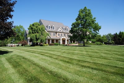 Lawn and trees treated by tree care company in Allentown, PA