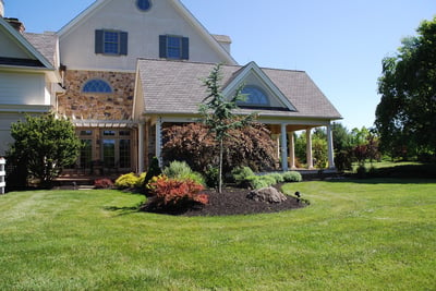 nice-lawn-and-trees