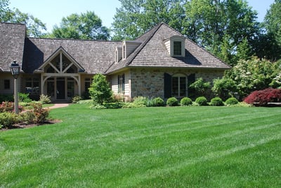 nice lawn with professional lawn care