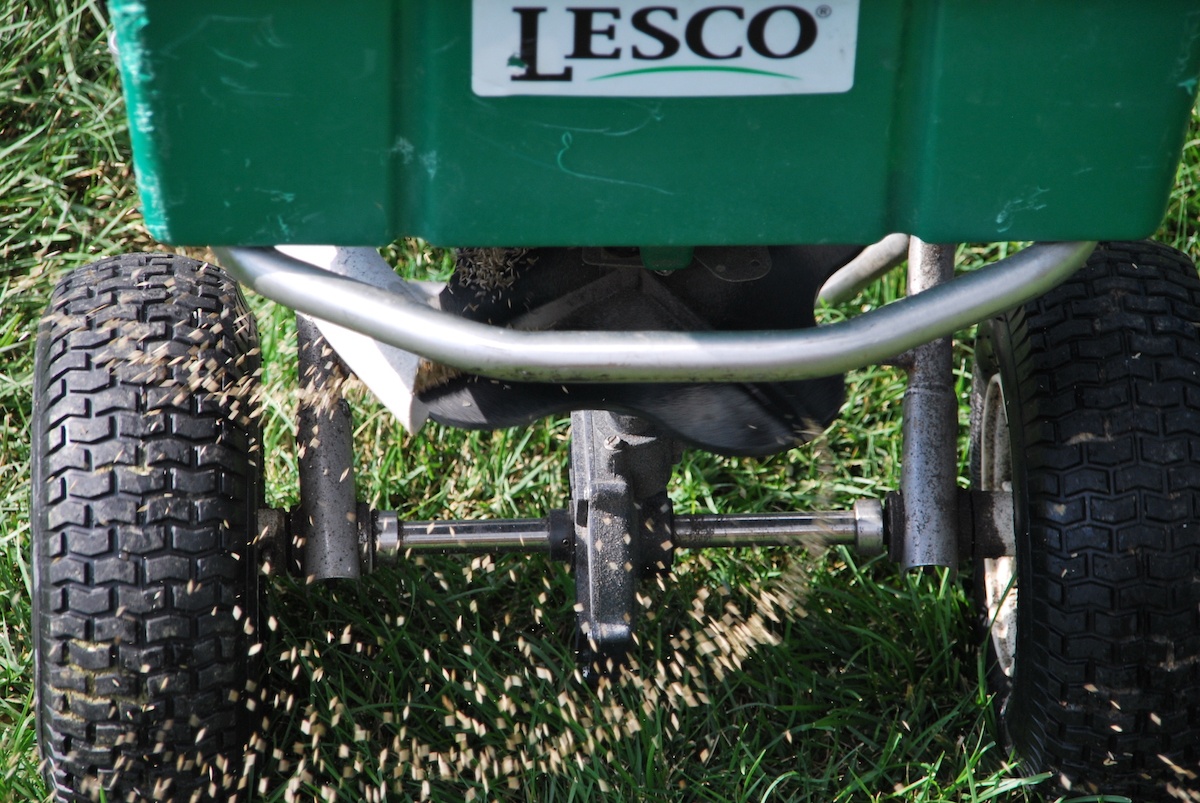 fertilizer spreader putting seed in grass