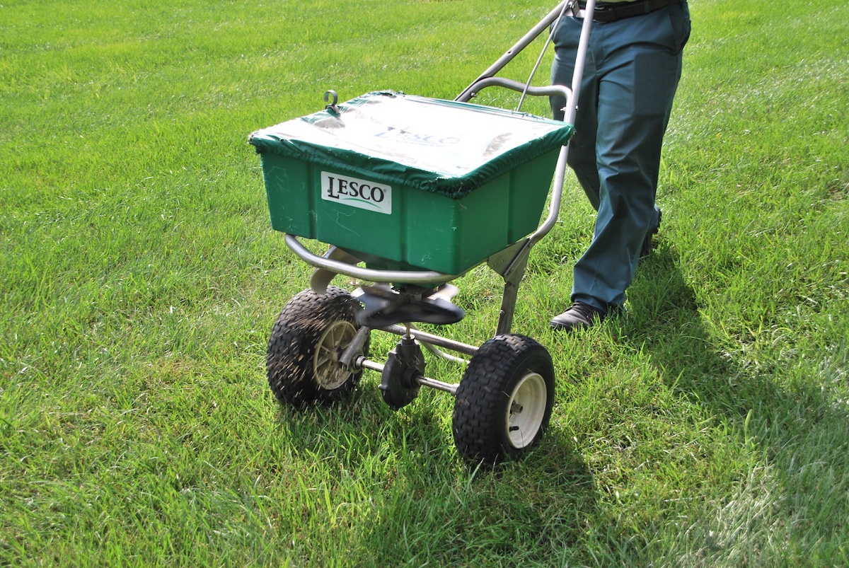 grass seed application