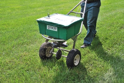 Lawn seed application