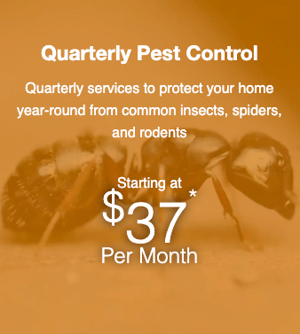 quarterly pest control