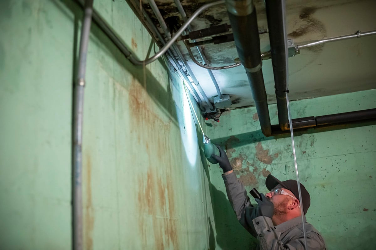 pest technician sprays in basement