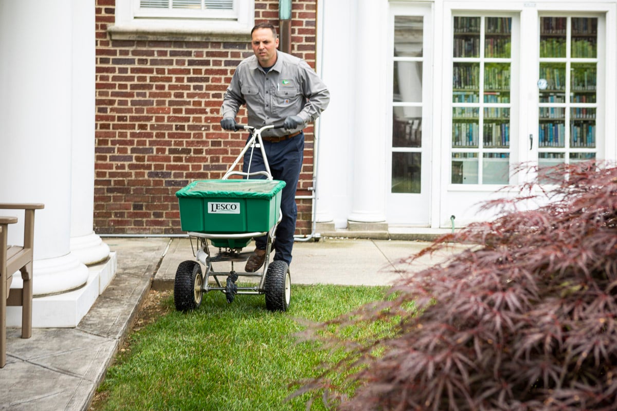 lawn care expert spreads granular fertilizer with walk behind spreader