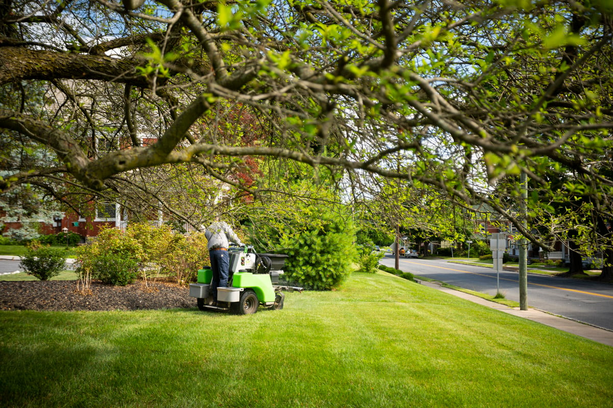 lawn care technician fertilizes grass