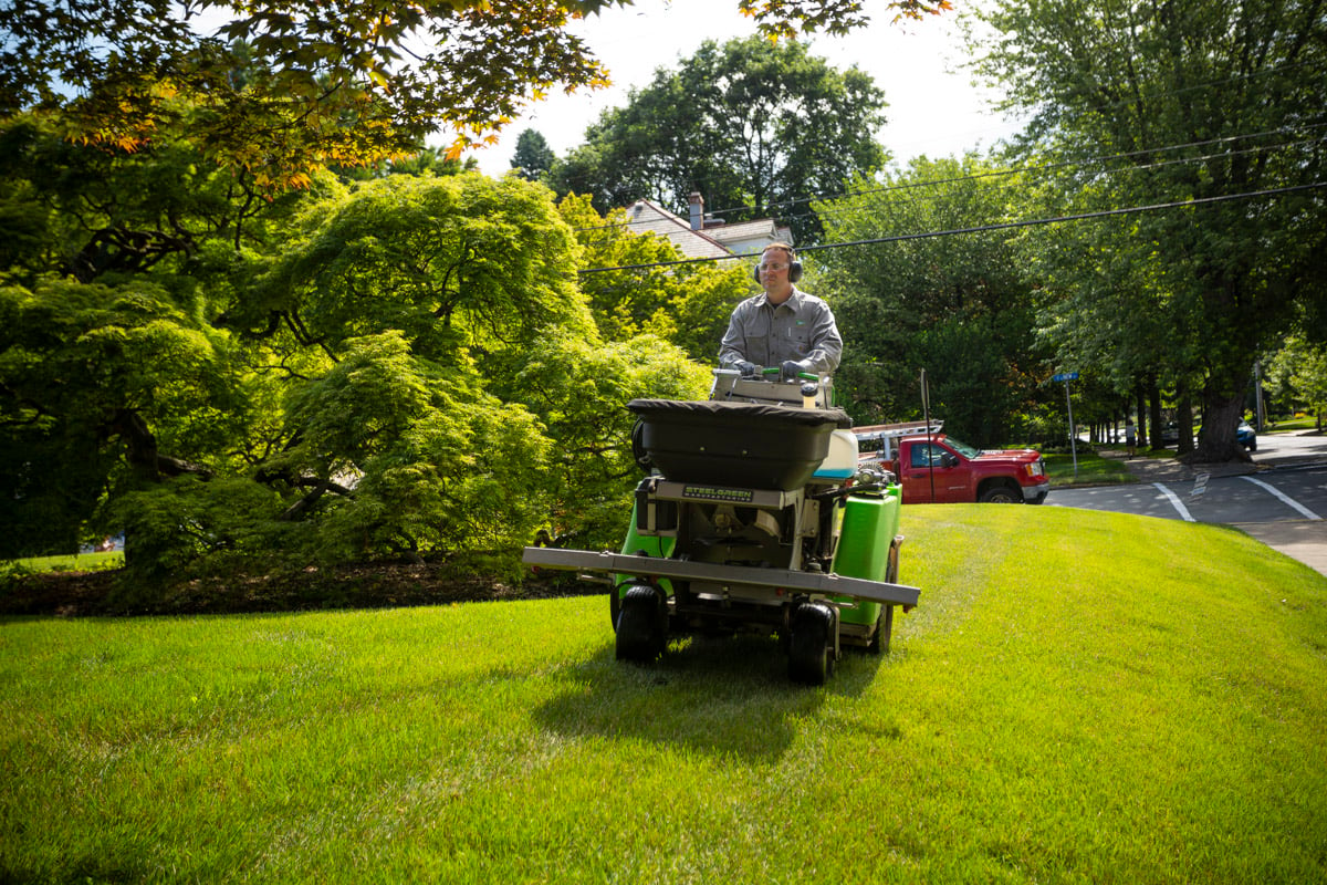 Joshua Tree lawn care technician