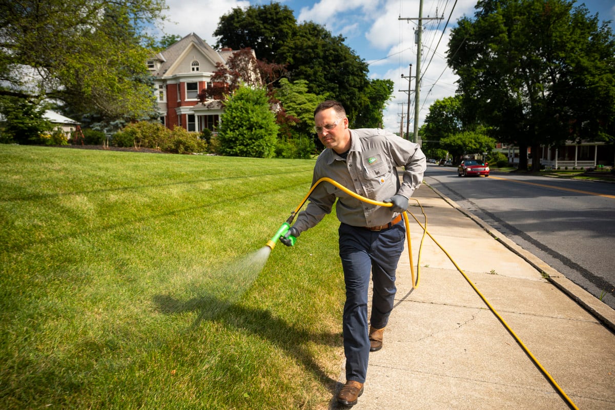 Commercial lawn care crew spraying a lawn