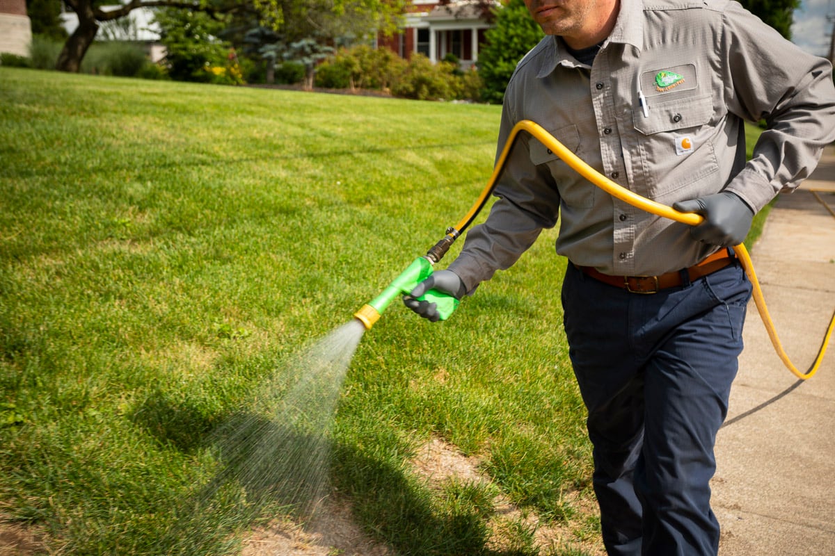 Lawn technician spot spraying weeds