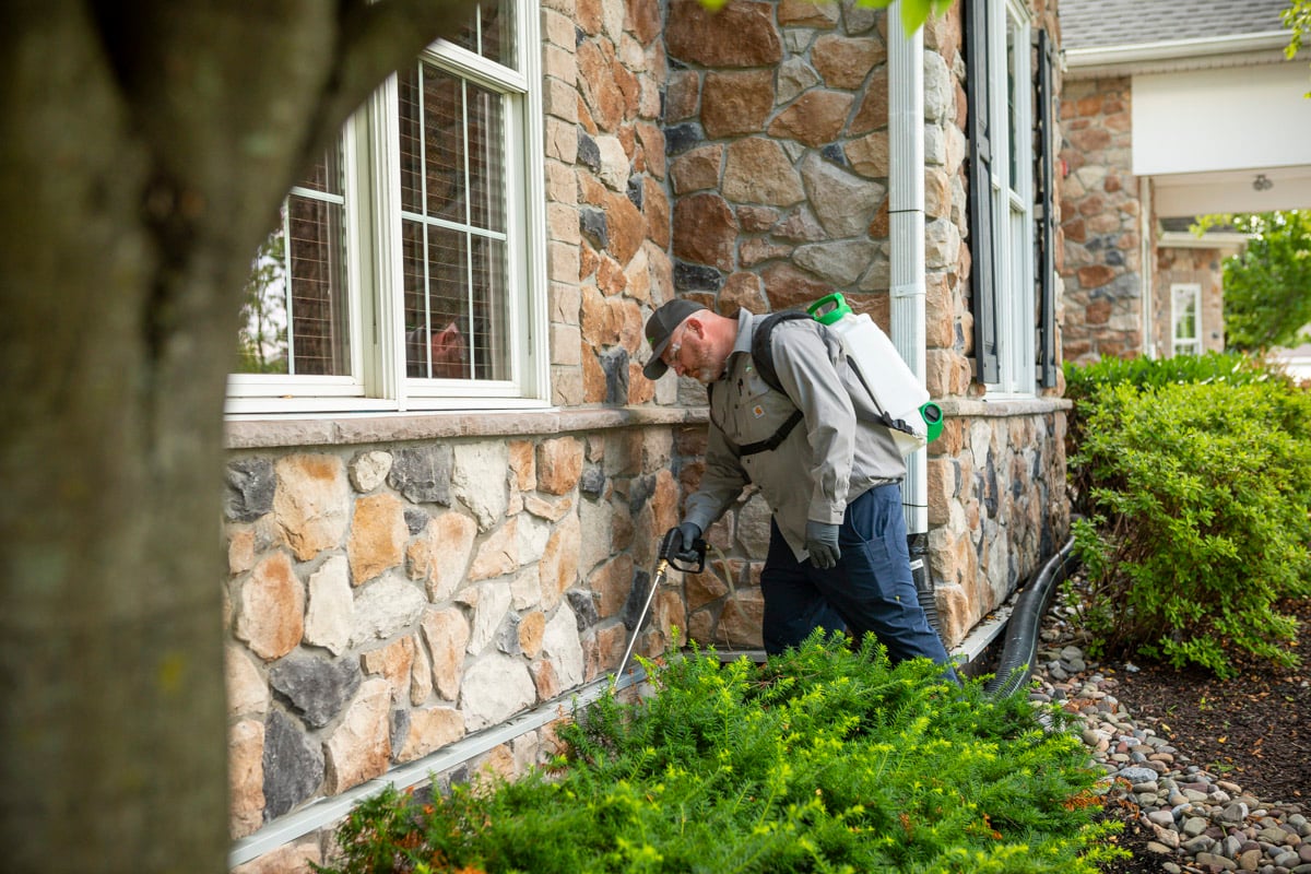 pest control technician sprays perimeter of home