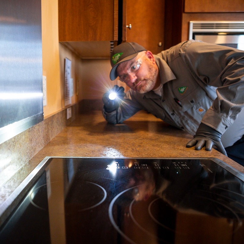 commercial pest control technician inspecting kitchen counter for indoor pests