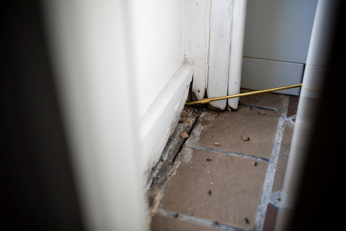 technician spraying home with dead bugs