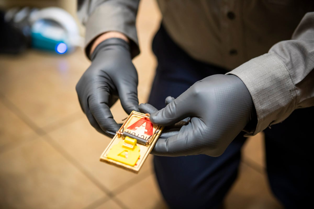 residential pest control technician placing rodent bait mouse trap in home