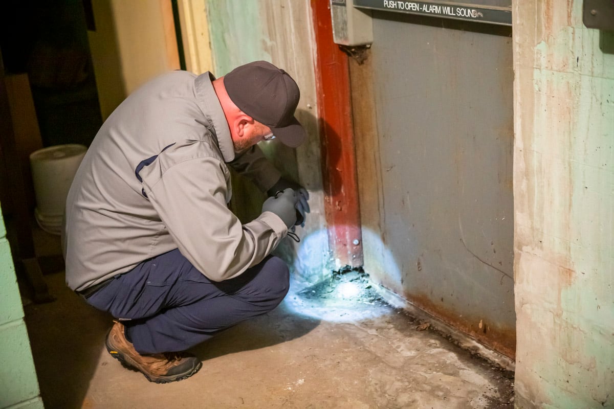 experienced pest control technician inspecting interior