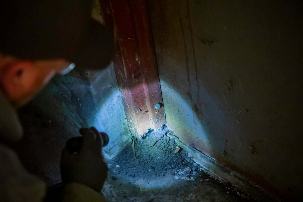 residential pest control technician inspecting a basement for roaches