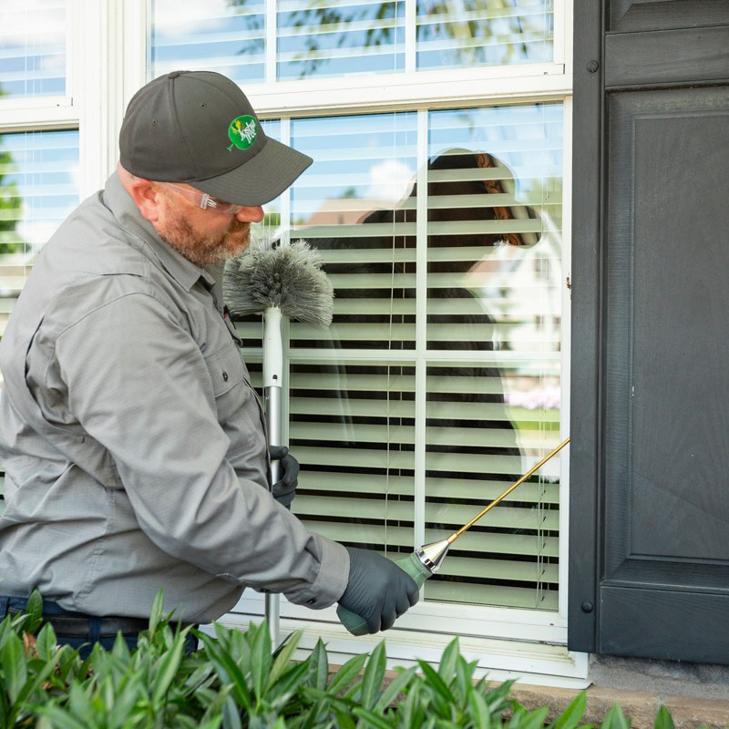 pest control expert sprays near window