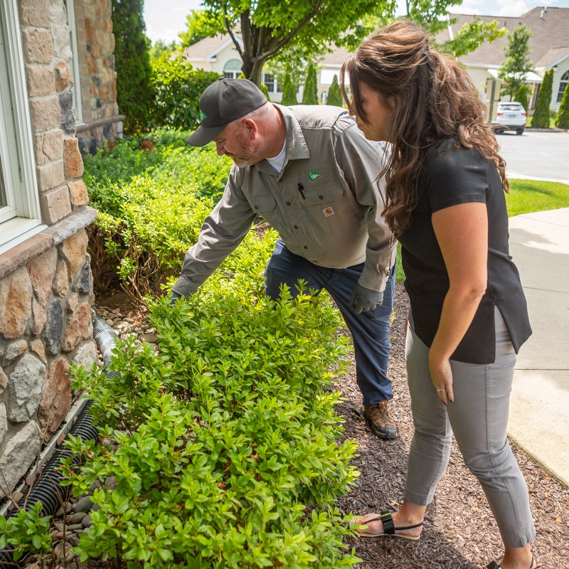 pest control technician and customer inspecting landscape