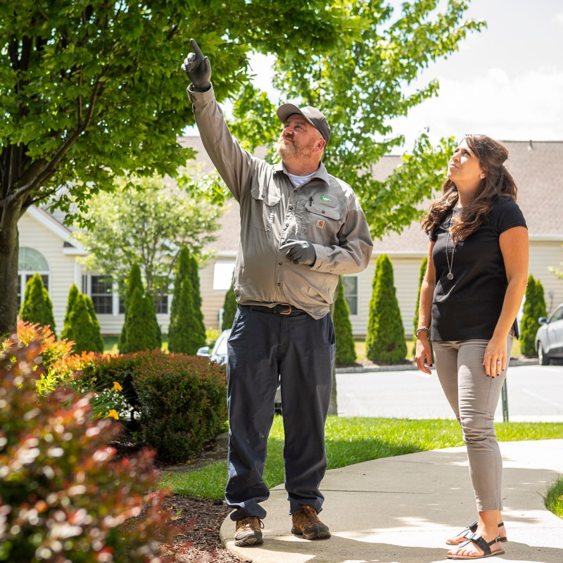 technician inspects property for pests and consults with client