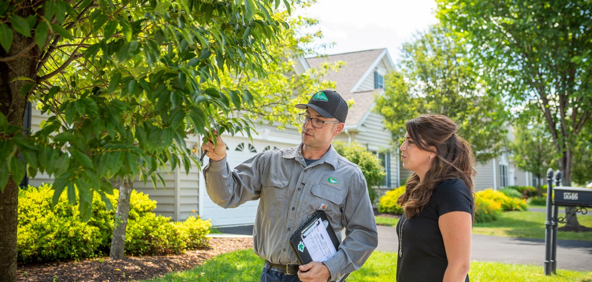 tree care expert inspects tree with woman