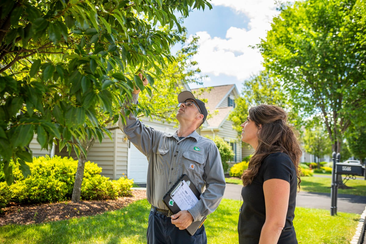 Certified arborist speaking with a customer about their tree