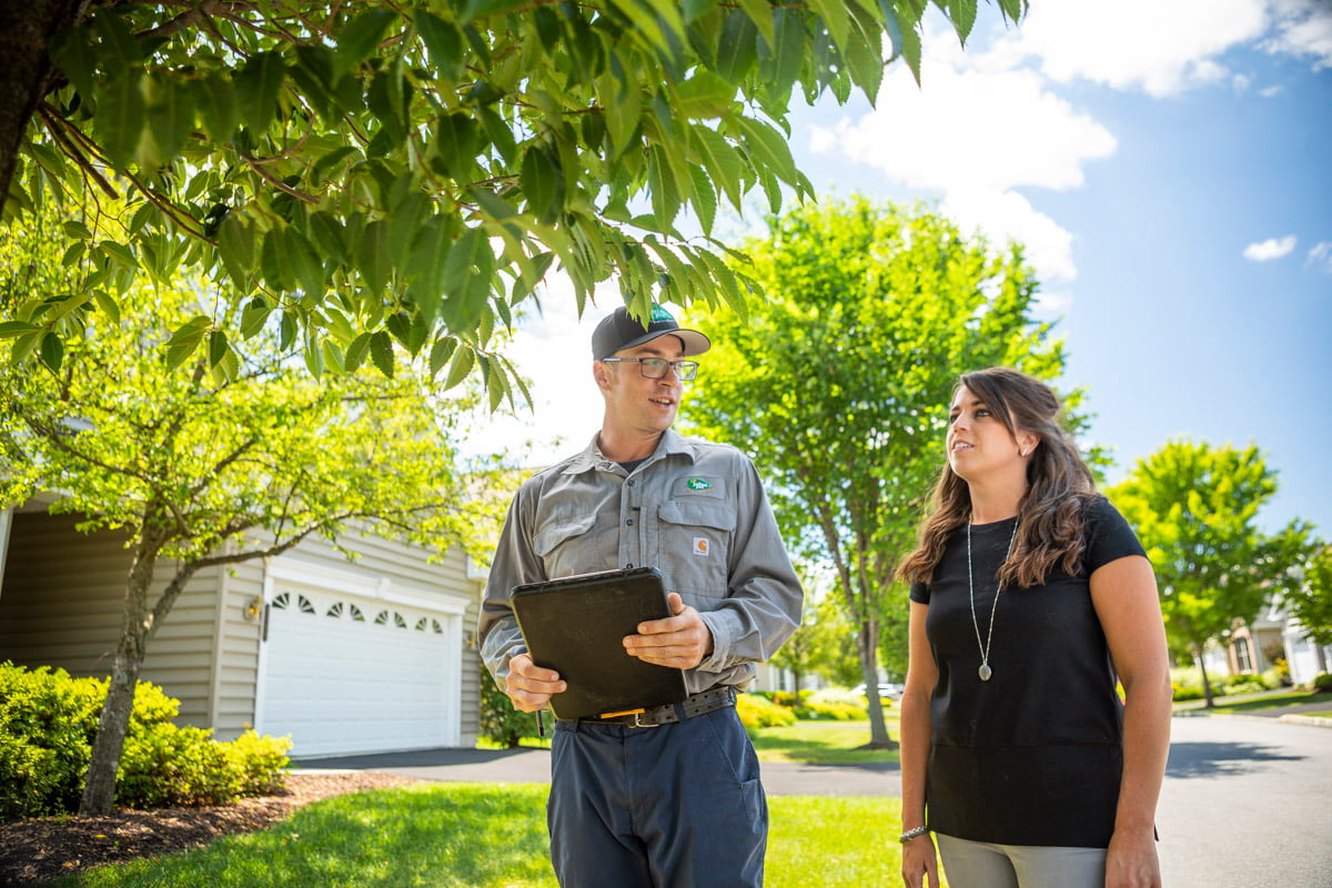 homeowner and technician inspect tree