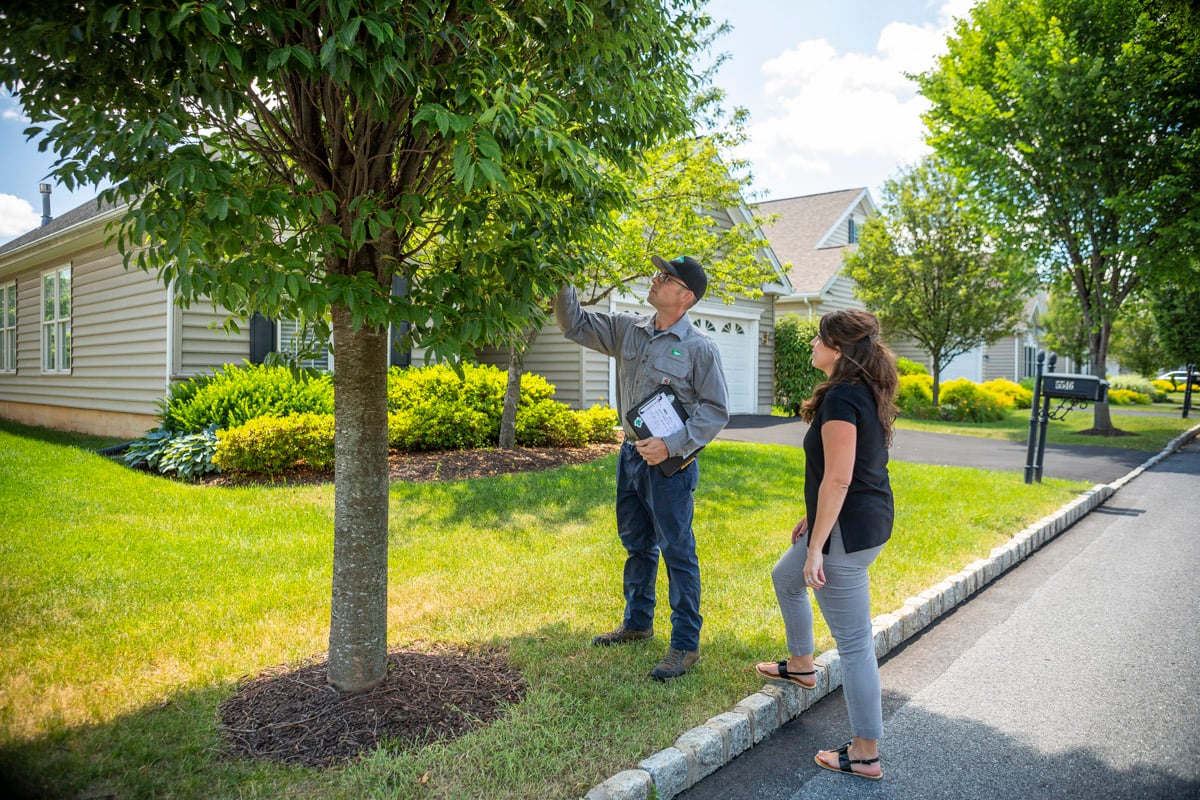 Tree care technician inspecting tree with a customer