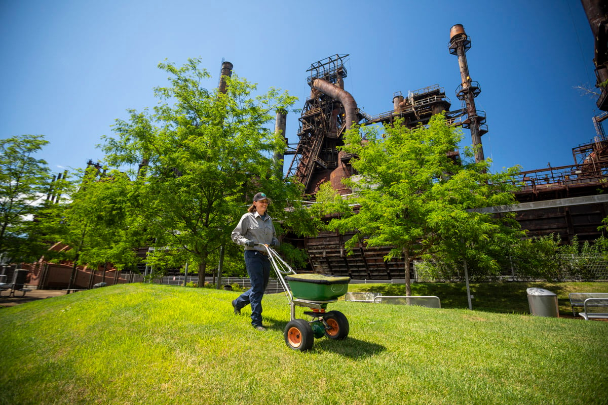 Joshua Tree lawn care technician