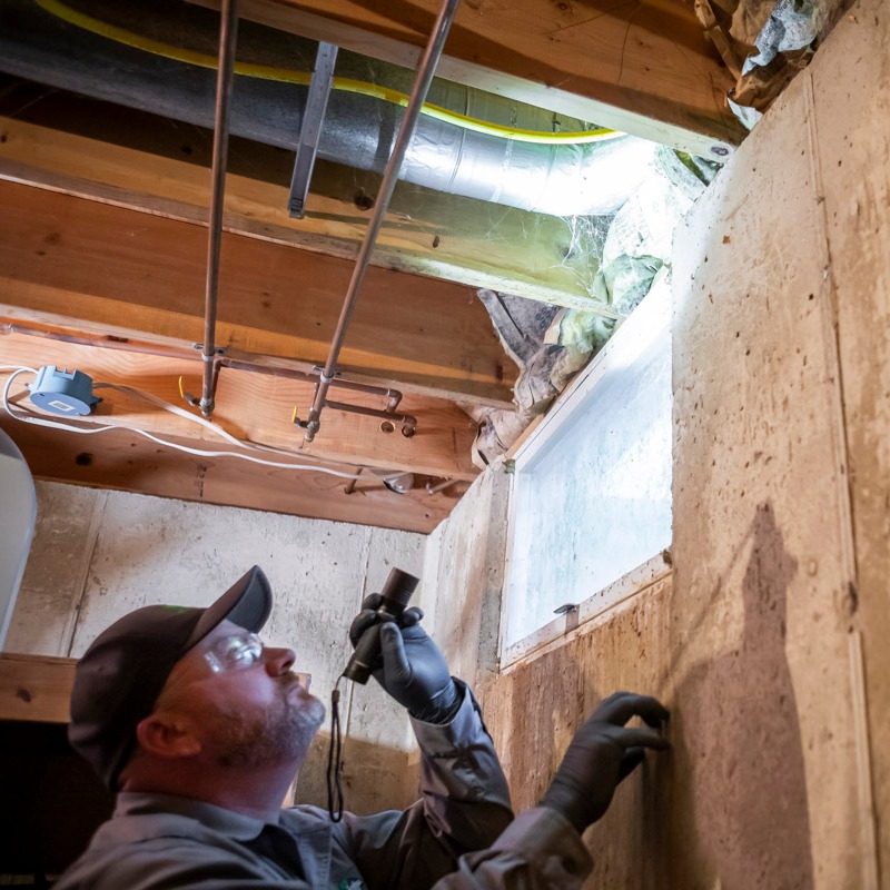 technician interior pest control treatment duster basement 11 technician interior pest control treatment duster basement 11