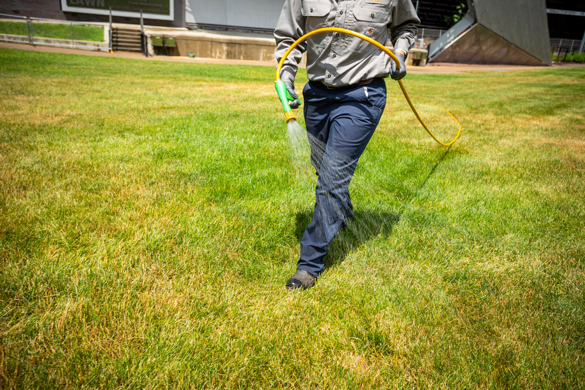 technician lawn spraying with weed control