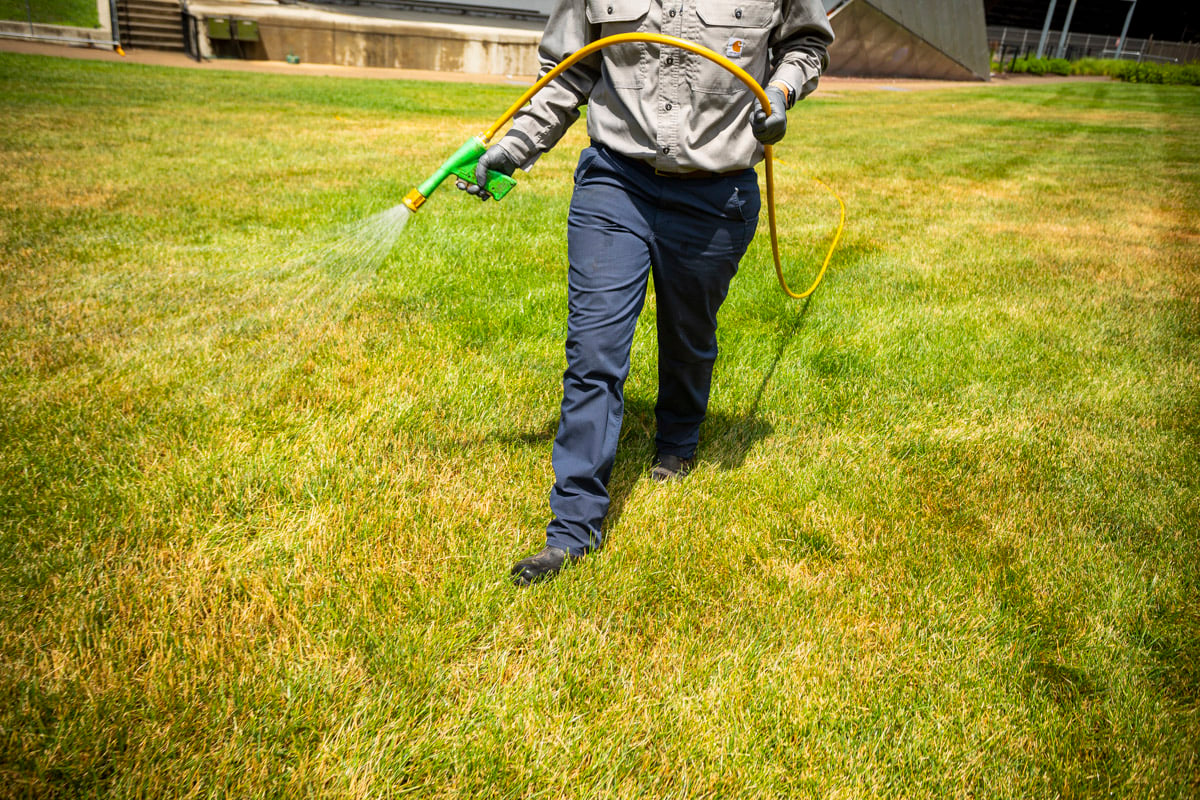 technician spraying weed control on lawn