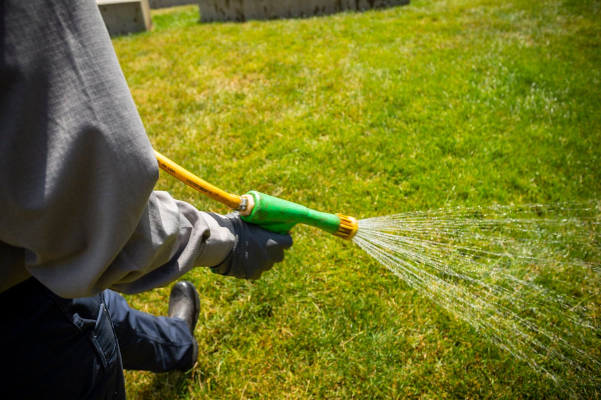 lawn care technician spraying grass for pests