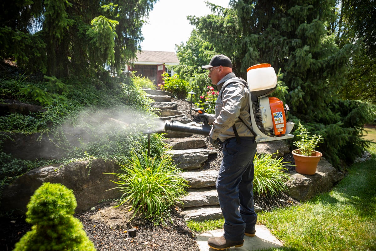 pest expert sprays for mosquitoes