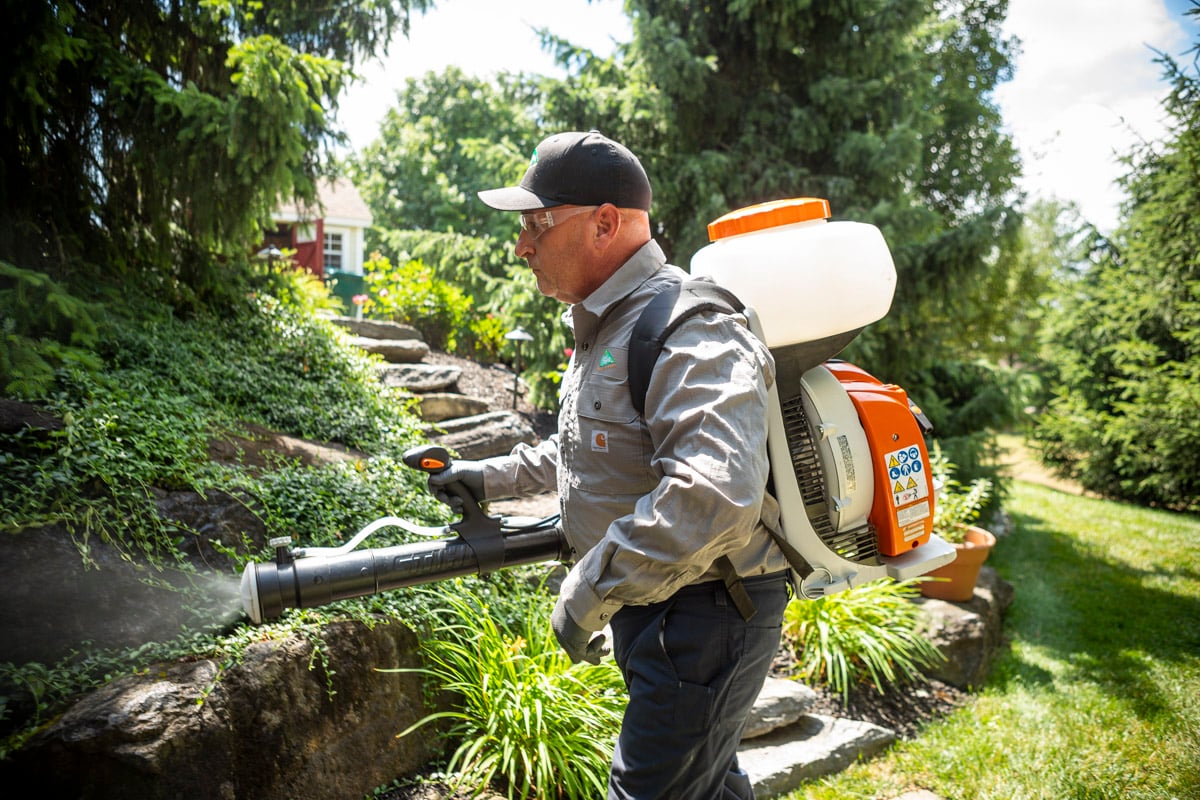 pest control technician sprays for mosquitoes