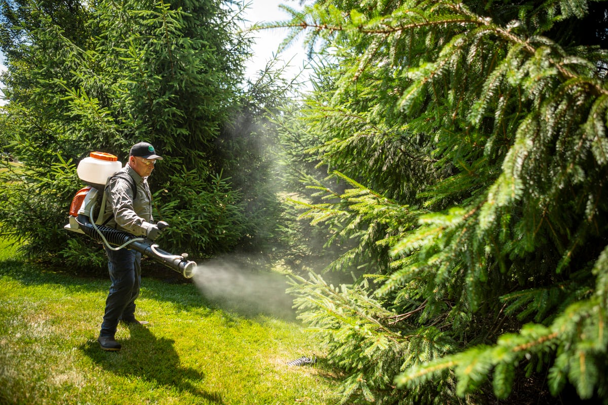 pest control technician sprays perimeter of property for mosquitos
