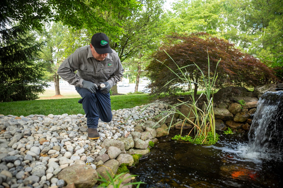 pest control technician adding mosquito dunks to a pond