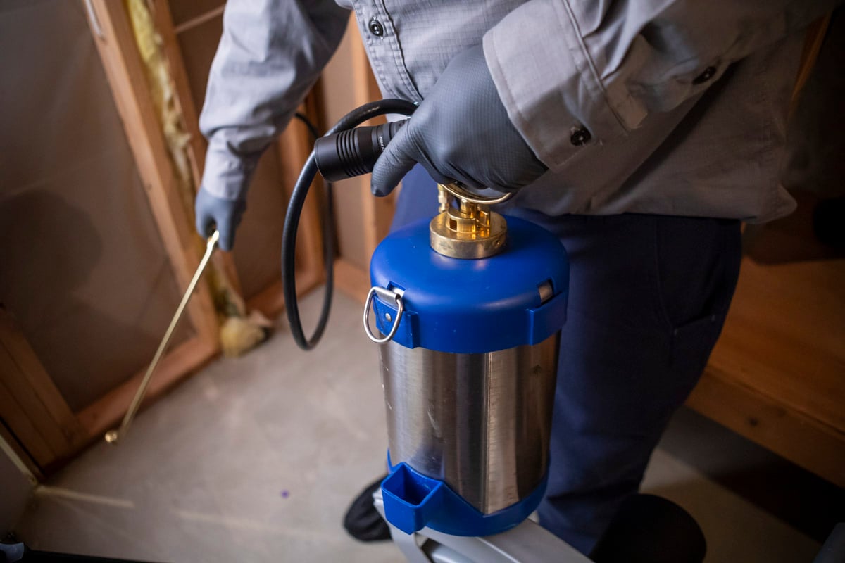 pest control technician sprays in basement for bugs