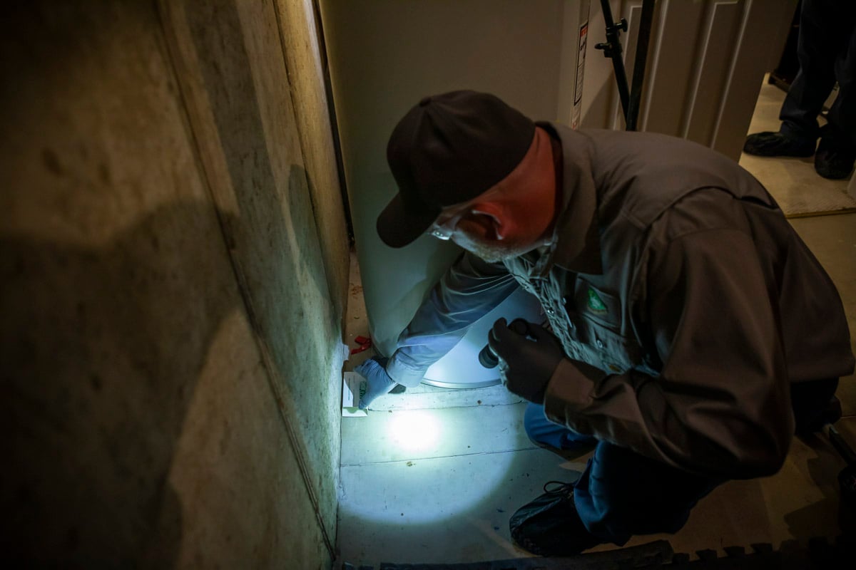 pest control technician sets trap for mouse