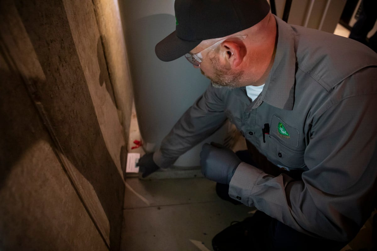 pest control technician places trap for mouse