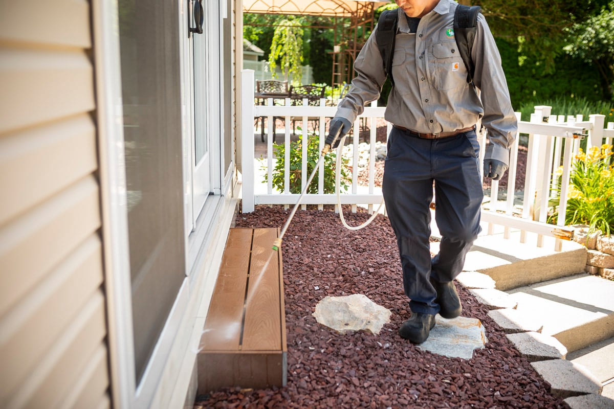 pest control spraying near door