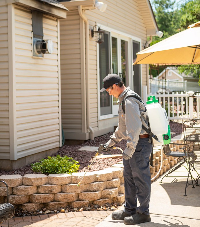 technician pest control exterior pest control spraying rock wall 4