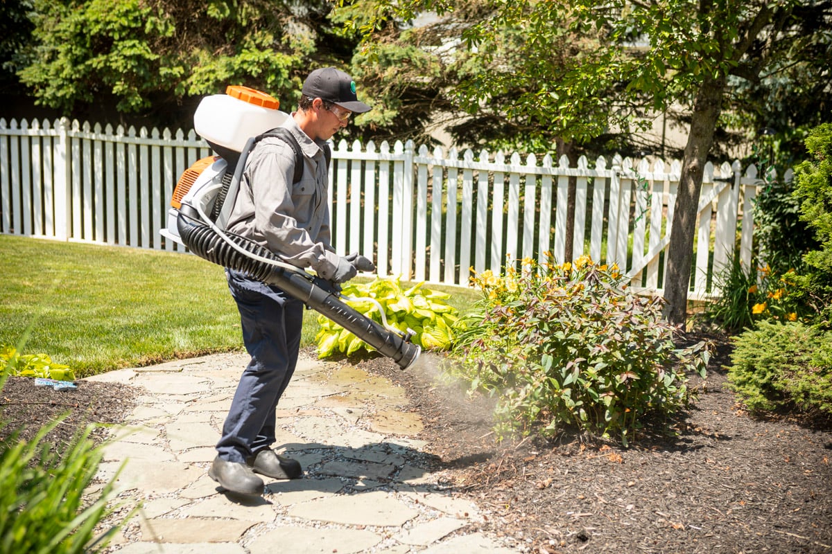 Pest control technician spraying mosquito control