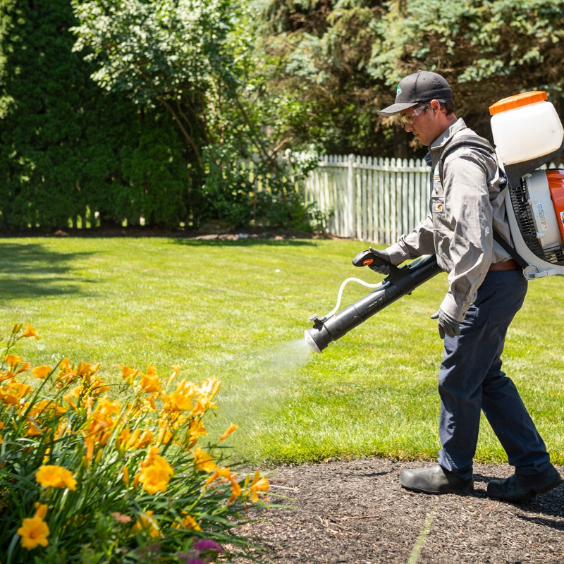 pest control technician sprays shady backyard
