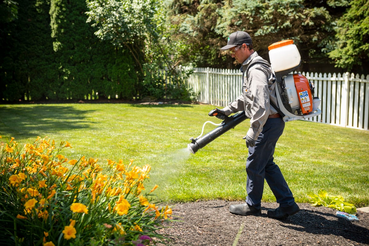 Lawn care technician spraying mosquito control